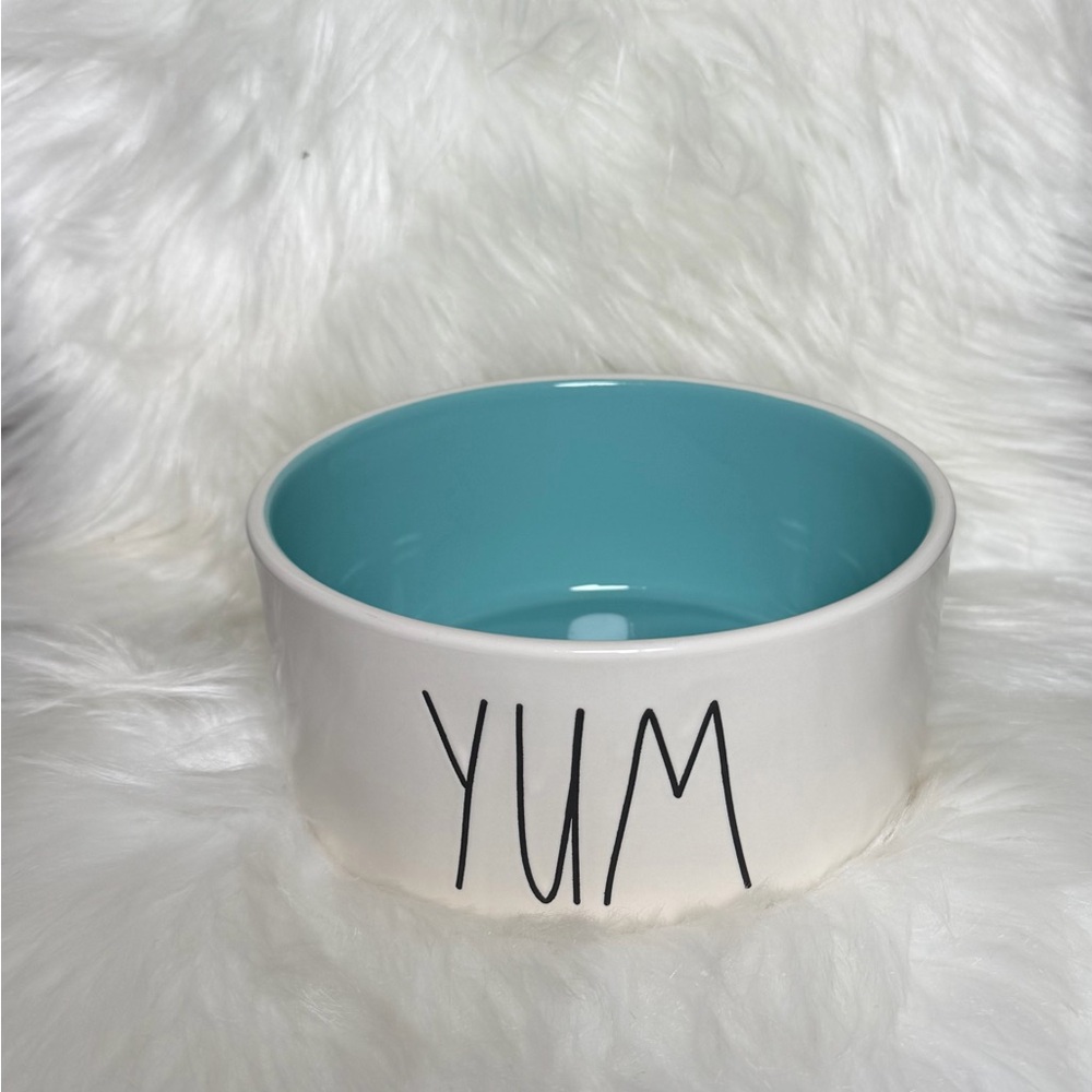 Rae Dunn White Ceramic Pet Bowl with Aqua Interior